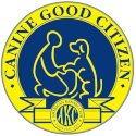 Storm certification badge